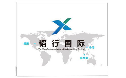 重庆跨境企业服务业新秀,稻行一站式境外服务平台脱颖而出